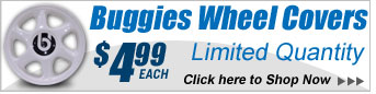 Buggies Unlimited 8 Inch Wheel Covers.  Limited Quanity!