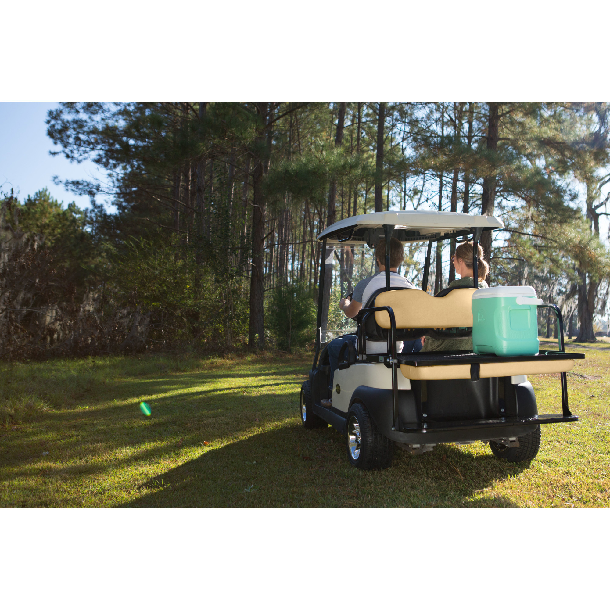 Buggies Unlimited - item 01-236