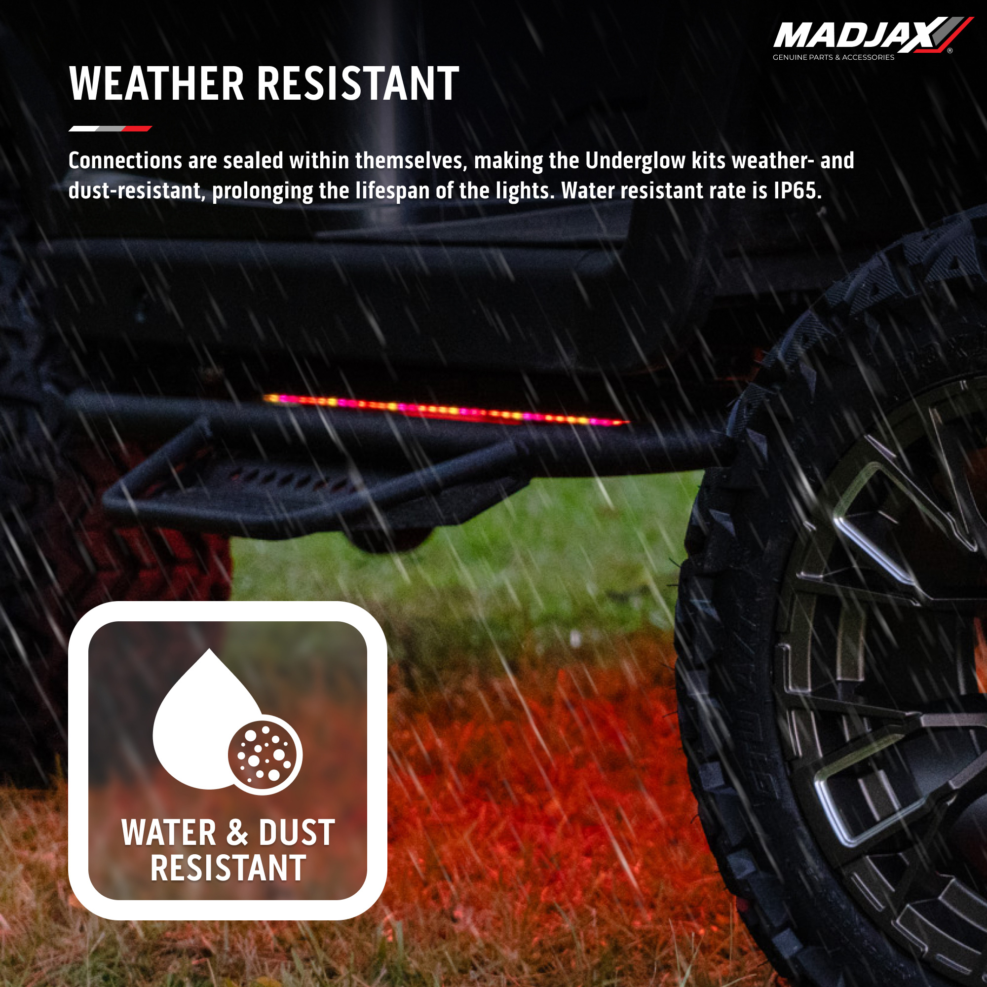 Buggies Unlimited - item 02-137