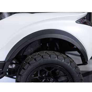 Buggies Unlimited - item 03-156