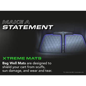 Buggies Unlimited - item 03-346