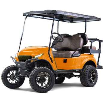 Buggies Unlimited - item 05-235-YE03