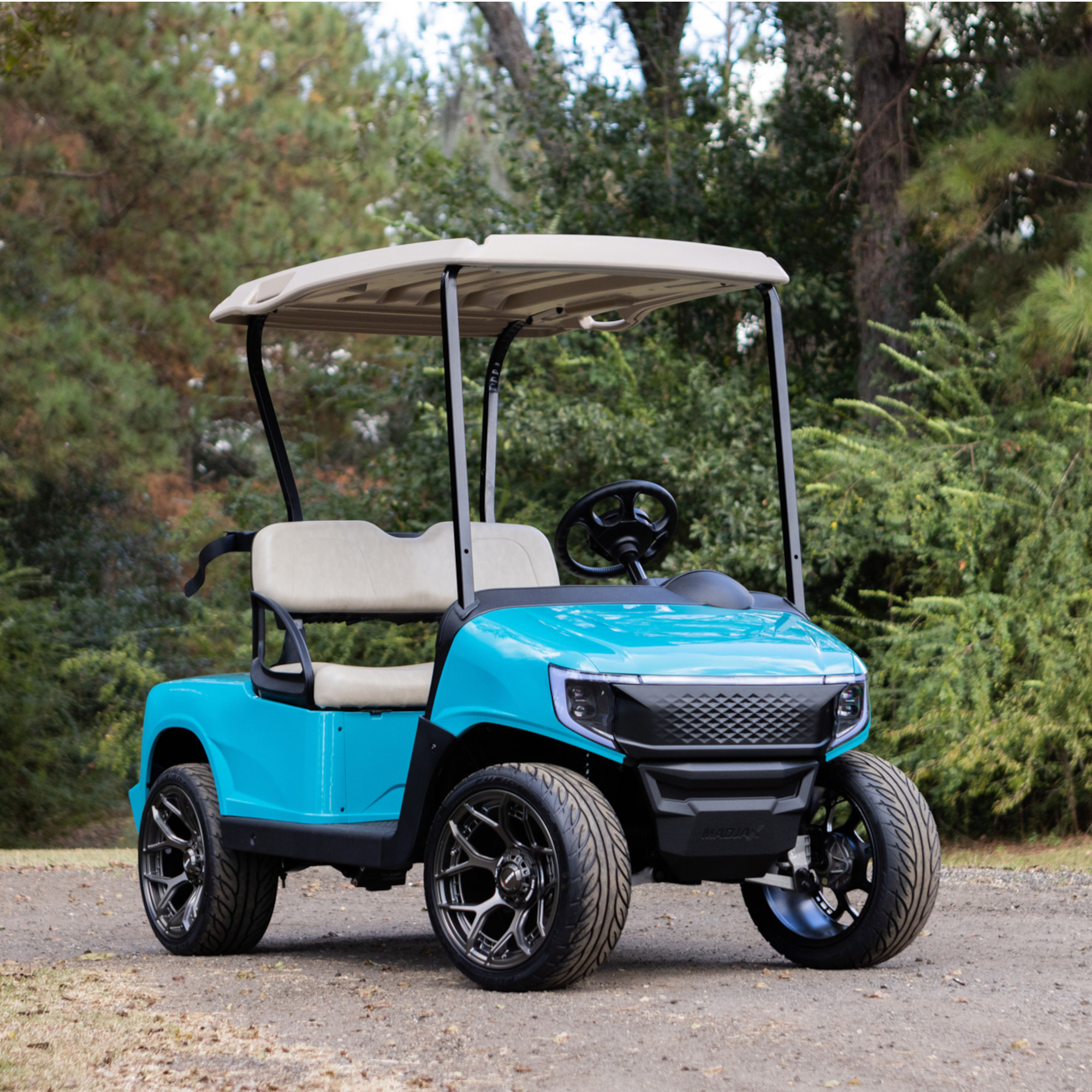 Buggies Unlimited - item 05-268-bg05