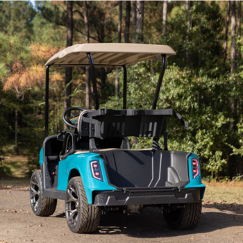 Buggies Unlimited - item 05-268-bg05