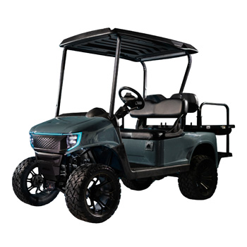 Buggies Unlimited - item 05-268-bg07