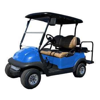 Buggies Unlimited - item 05-282-bl11