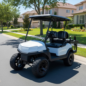 Buggies Unlimited - item 05-283-WH05