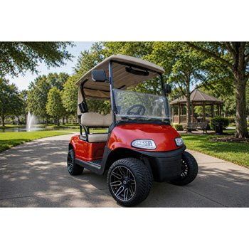 Buggies Unlimited - item 05-287-bl10