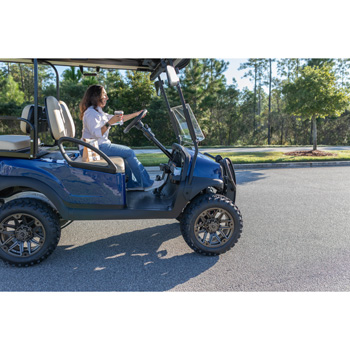 Buggies Unlimited - item 05-290-bl10