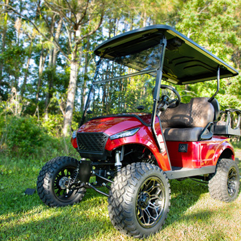 Buggies Unlimited - item 09-137