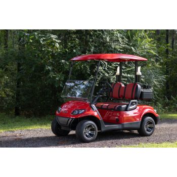 Buggies Unlimited - item 09-191