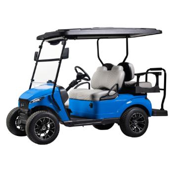 Buggies Unlimited - item 09-195