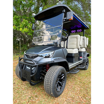 Buggies Unlimited - item 09-299