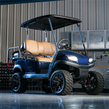 Buggies Unlimited - item 10-503-BR10