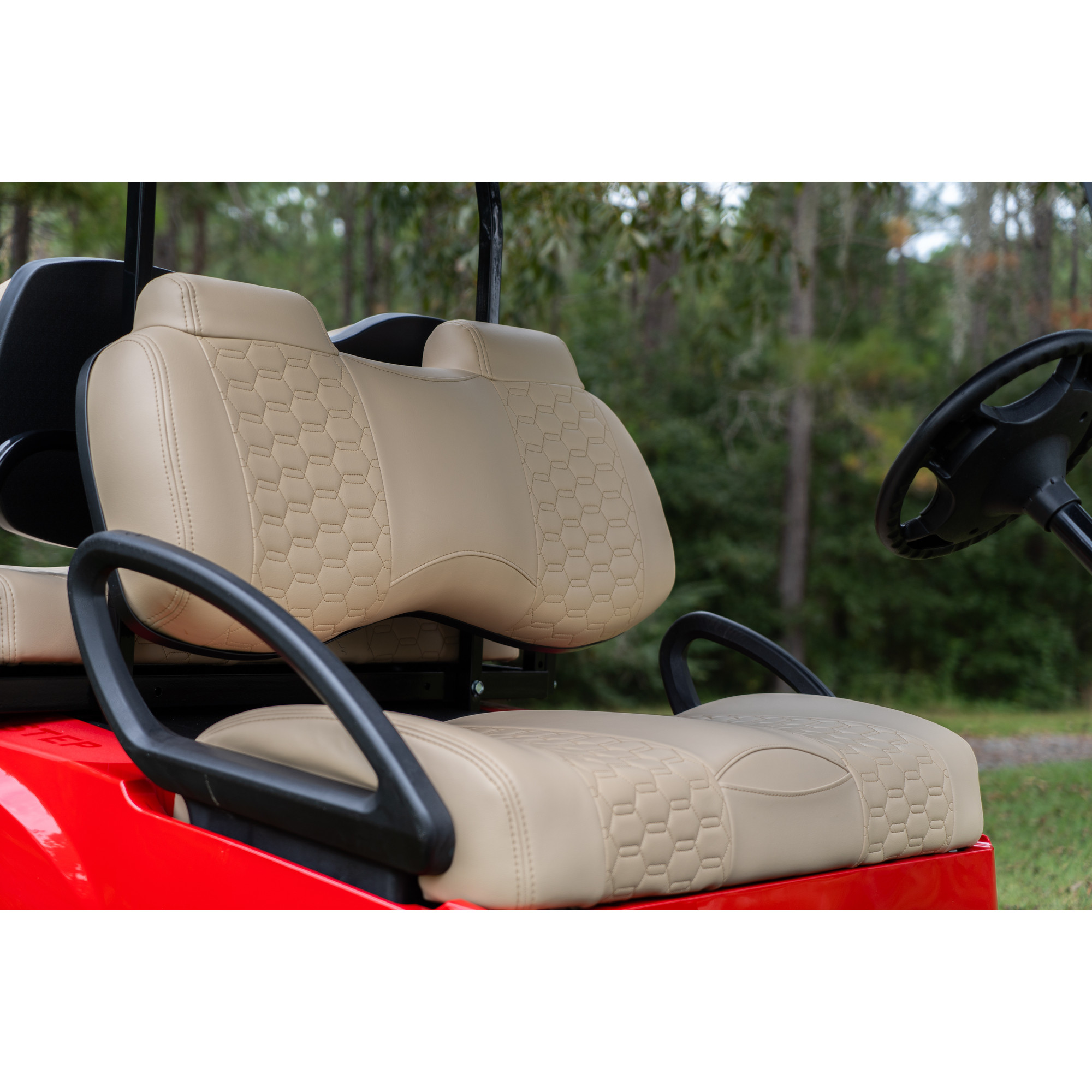 Buggies Unlimited - item 10-561P
