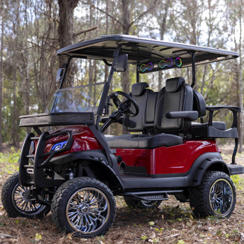 Buggies Unlimited - item 10-667