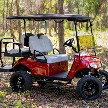 Buggies Unlimited - item 10-686