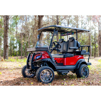 Buggies Unlimited - item 13-096