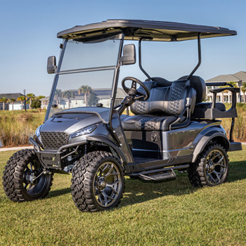 Buggies Unlimited - item 14-036