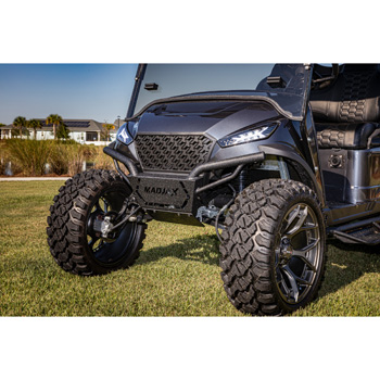 Buggies Unlimited - item 14-036