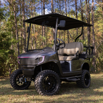 Buggies Unlimited - item 14-045