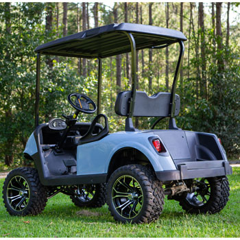 Buggies Unlimited - item 16-073