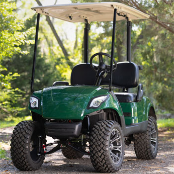 Buggies Unlimited - item 16-076