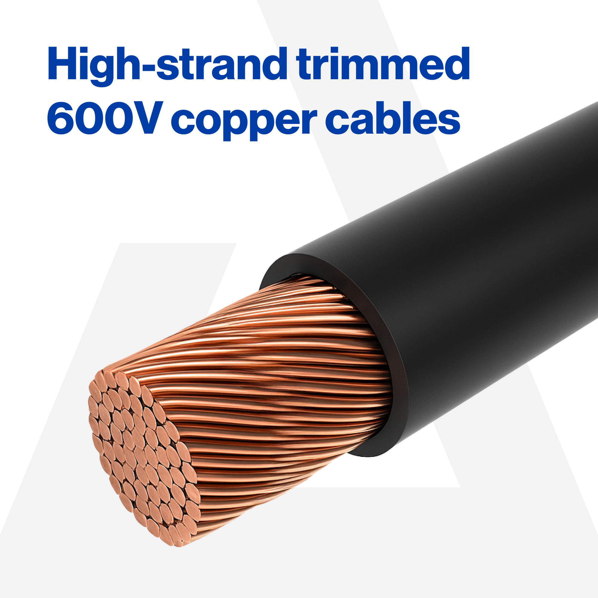 Buggies Unlimited - item 17-377