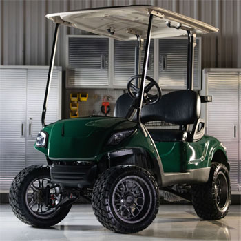 Buggies Unlimited - item 19-338