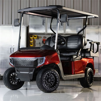 Buggies Unlimited - item 19-342