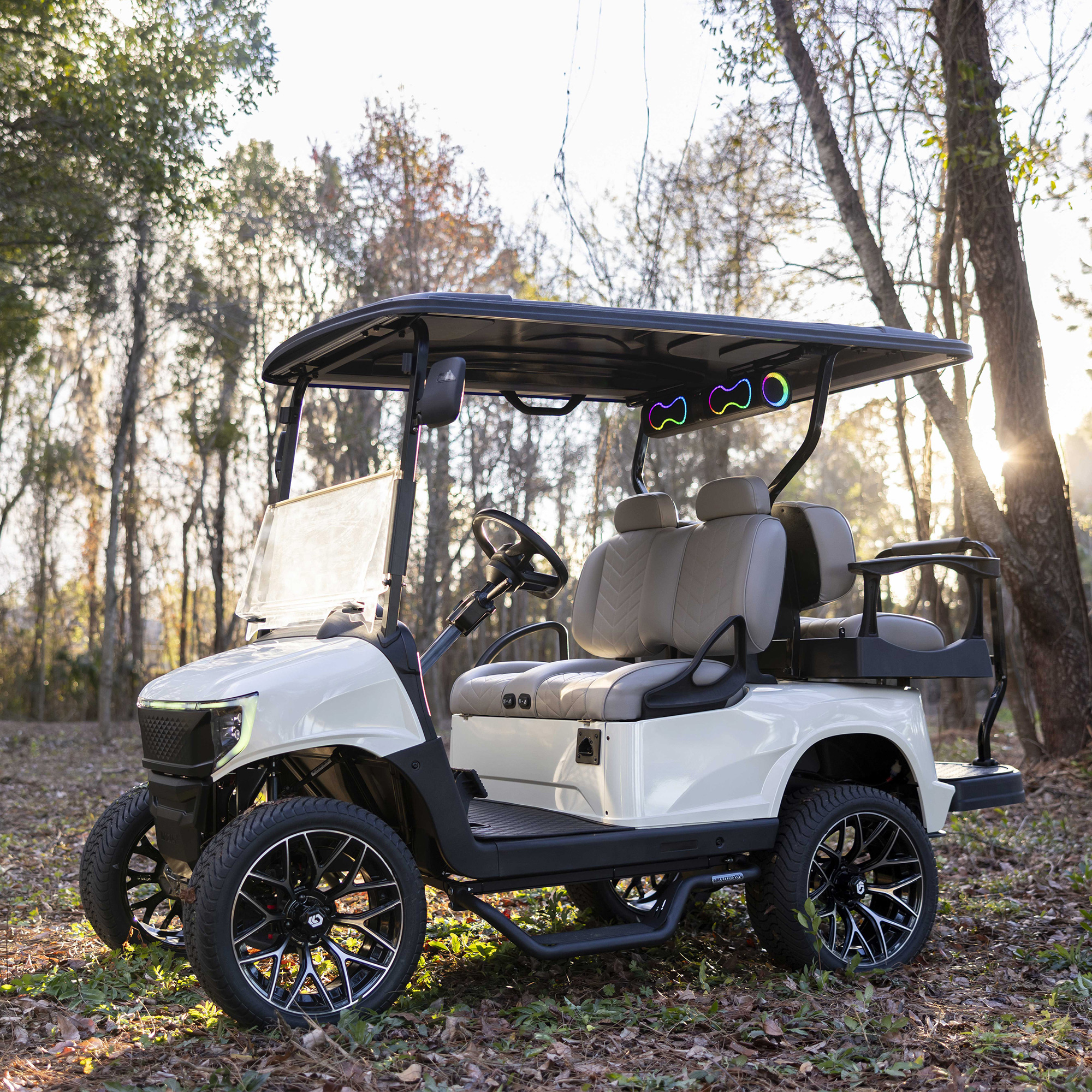 Buggies Unlimited - item 19-424