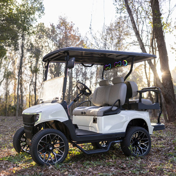 Buggies Unlimited - item 19-425
