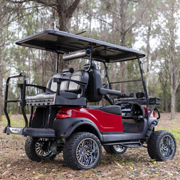 Buggies Unlimited - item 19-429