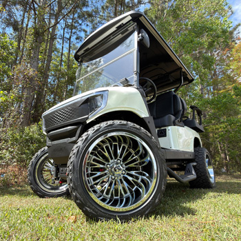 Buggies Unlimited - item 19-429