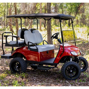 Buggies Unlimited - item 19-432