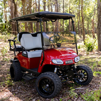 Buggies Unlimited - item 19-432