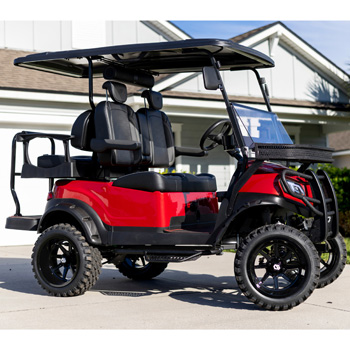 Buggies Unlimited - item 19-435