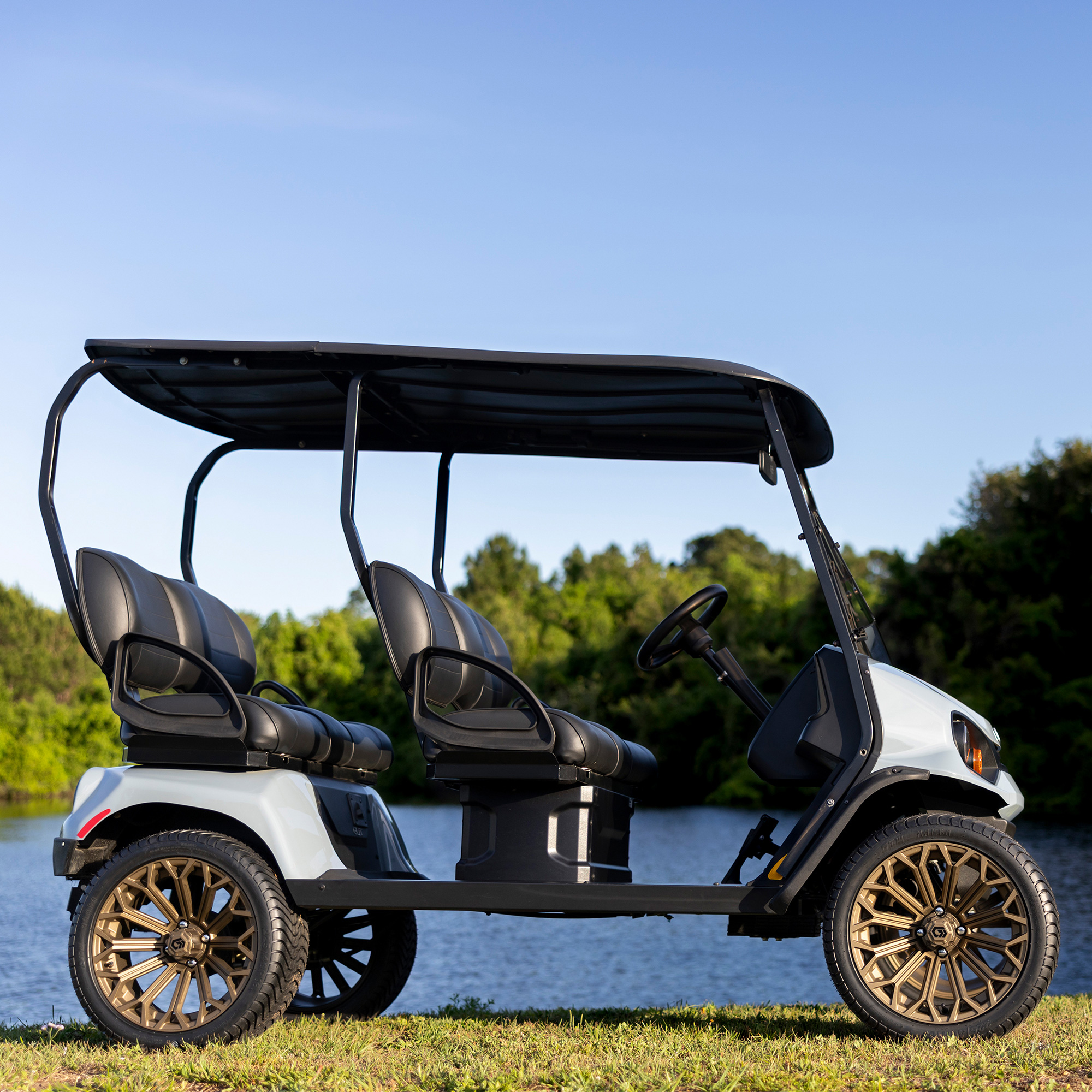Buggies Unlimited - item 19-448