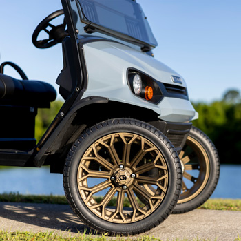 Buggies Unlimited - item 19-449