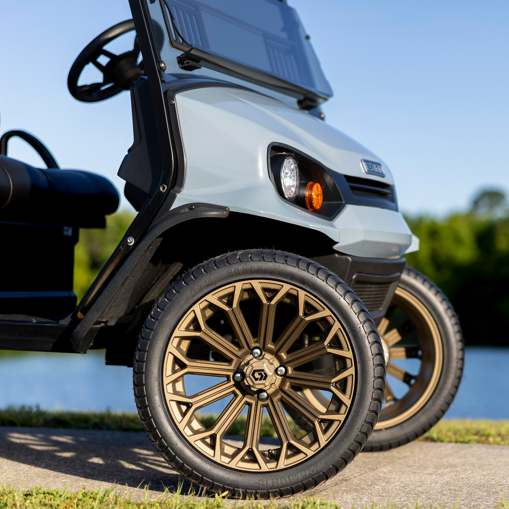 Buggies Unlimited - item 19-449