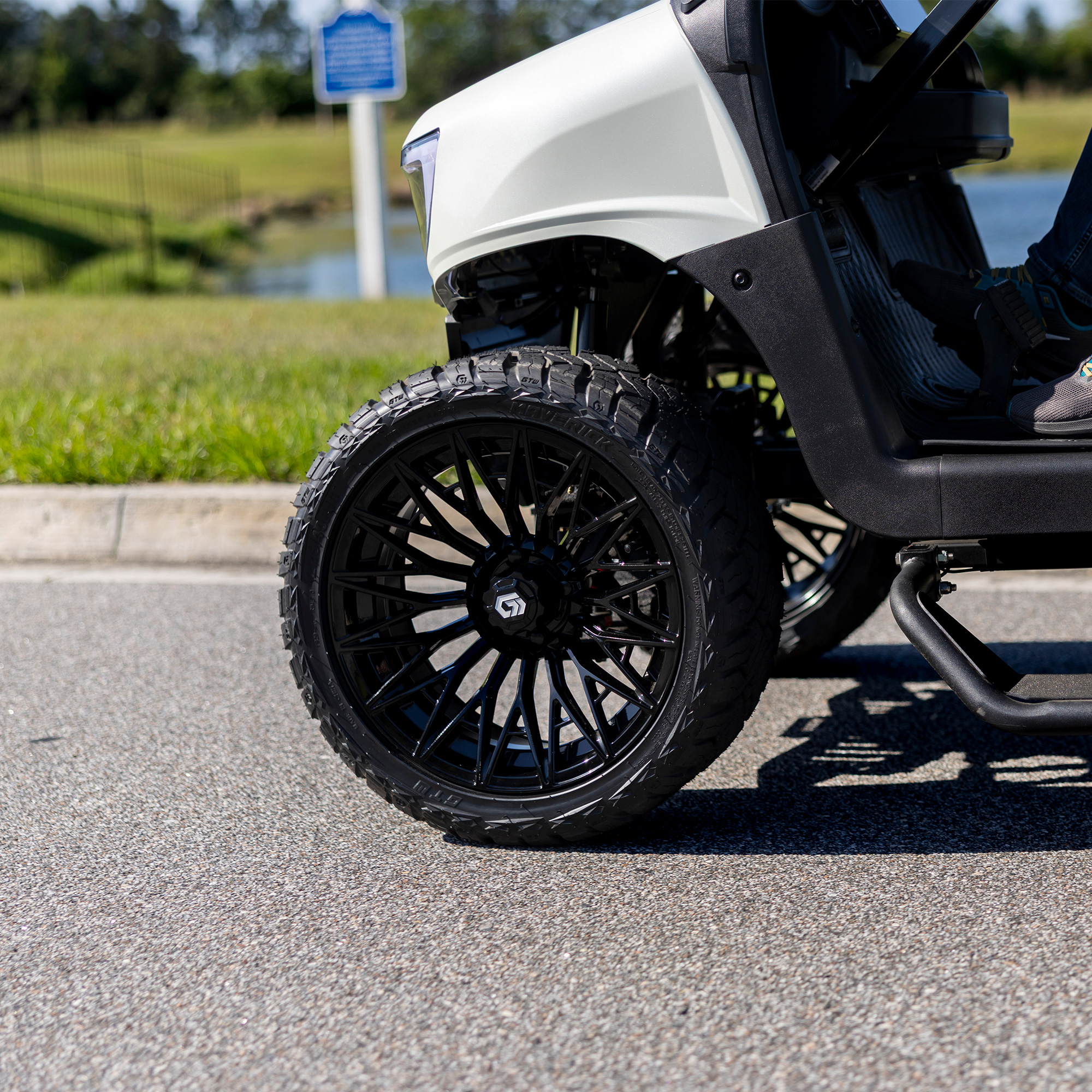Buggies Unlimited - item 19-451