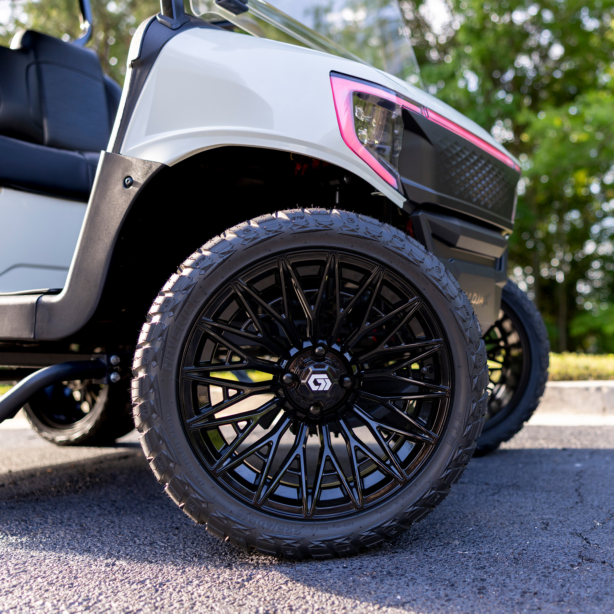 Buggies Unlimited - item 19-452