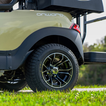 Buggies Unlimited - item 19-456