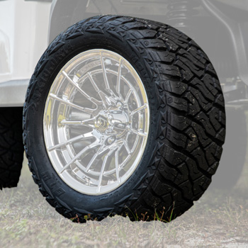 Buggies Unlimited - item 20-091