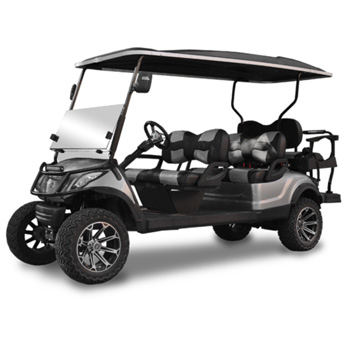 Buggies Unlimited - item 24-129