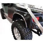 Gold Fender Trim (Universal Fit)