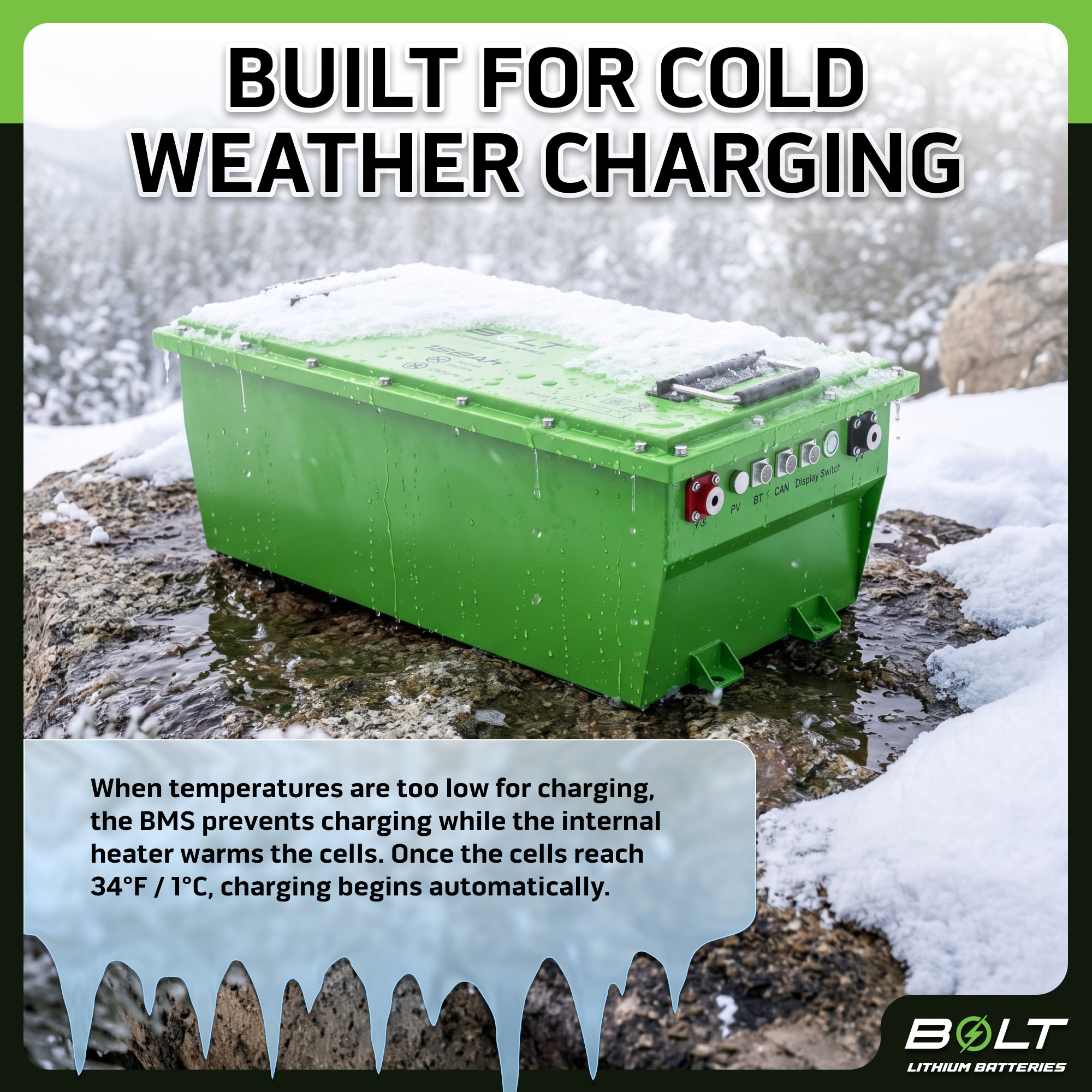 Buggies Unlimited - item 33-743S