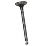 1993-01 Yamaha G11-G16 - Exhaust Valve