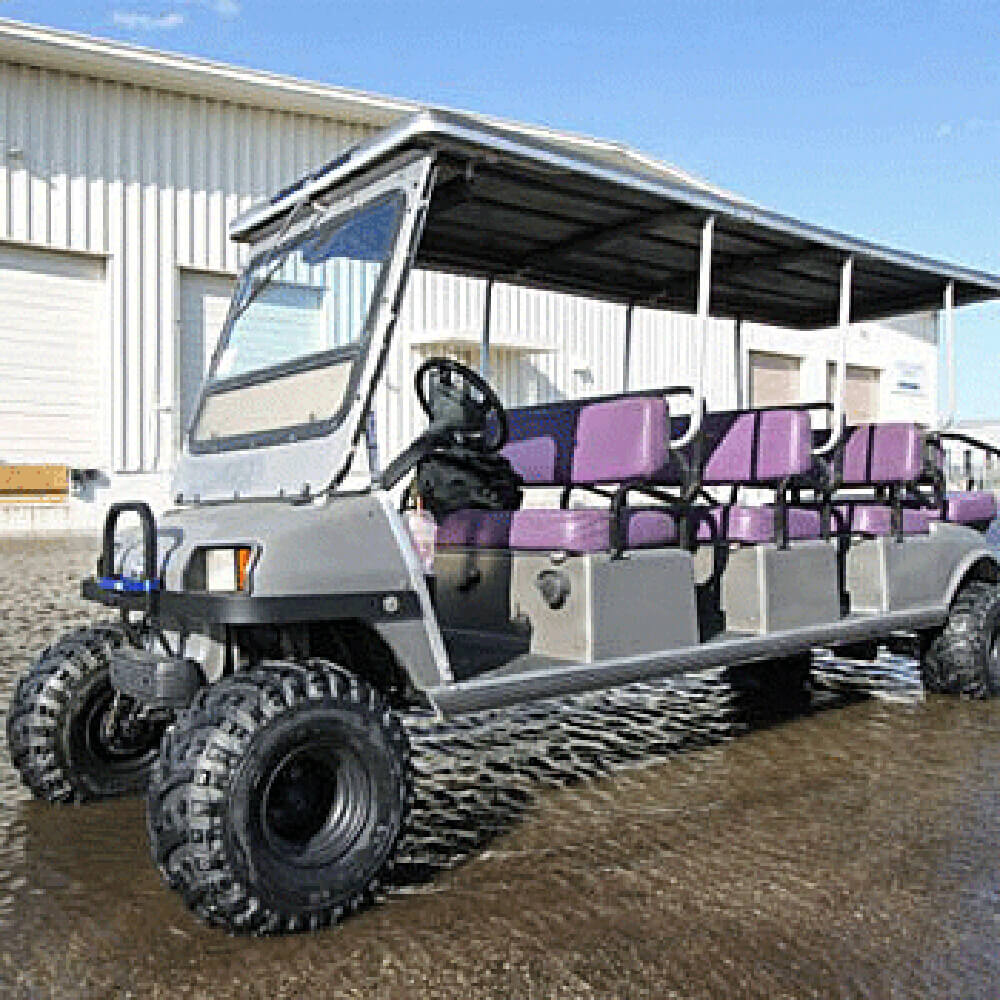 Buggies Unlimited - item 6233