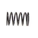 1991-Up EZGO Gas - Valve Spring